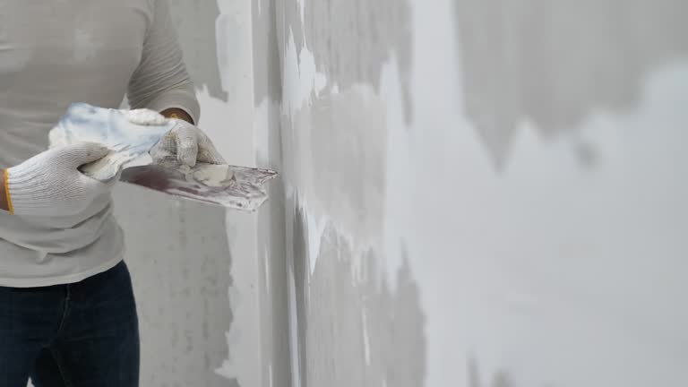 Best Drywall Removal and Disposal  in Riverview, MO